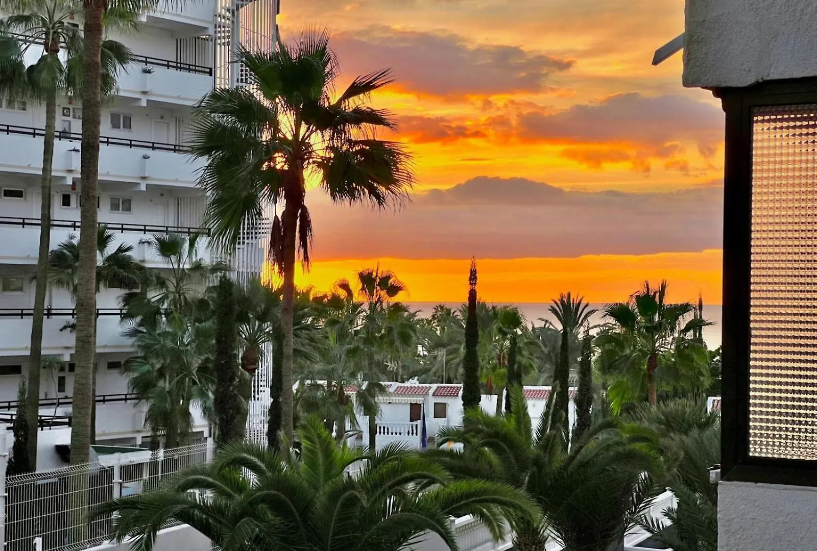Olympia Palmalicious Apartment Playa de las Américas Spanje